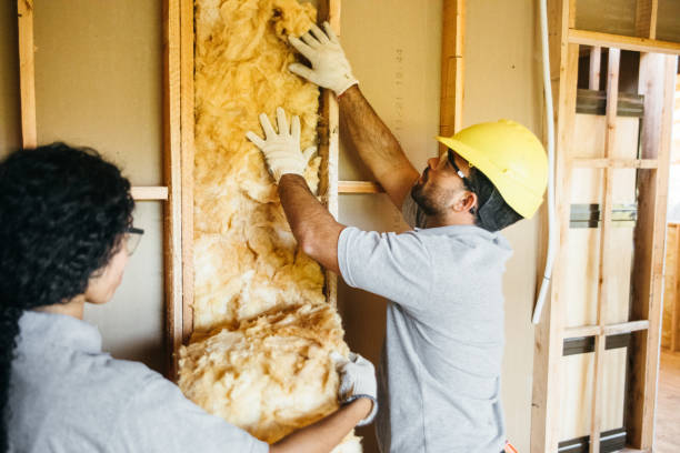 Types of Insulation We Offer in Steelton, PA